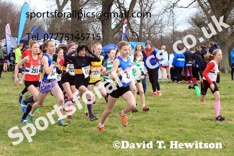 Girls Under-13s 2023 NEHL, Alnwick, Northumberland. Photo: David T. Hewitson/Sports for All Pics